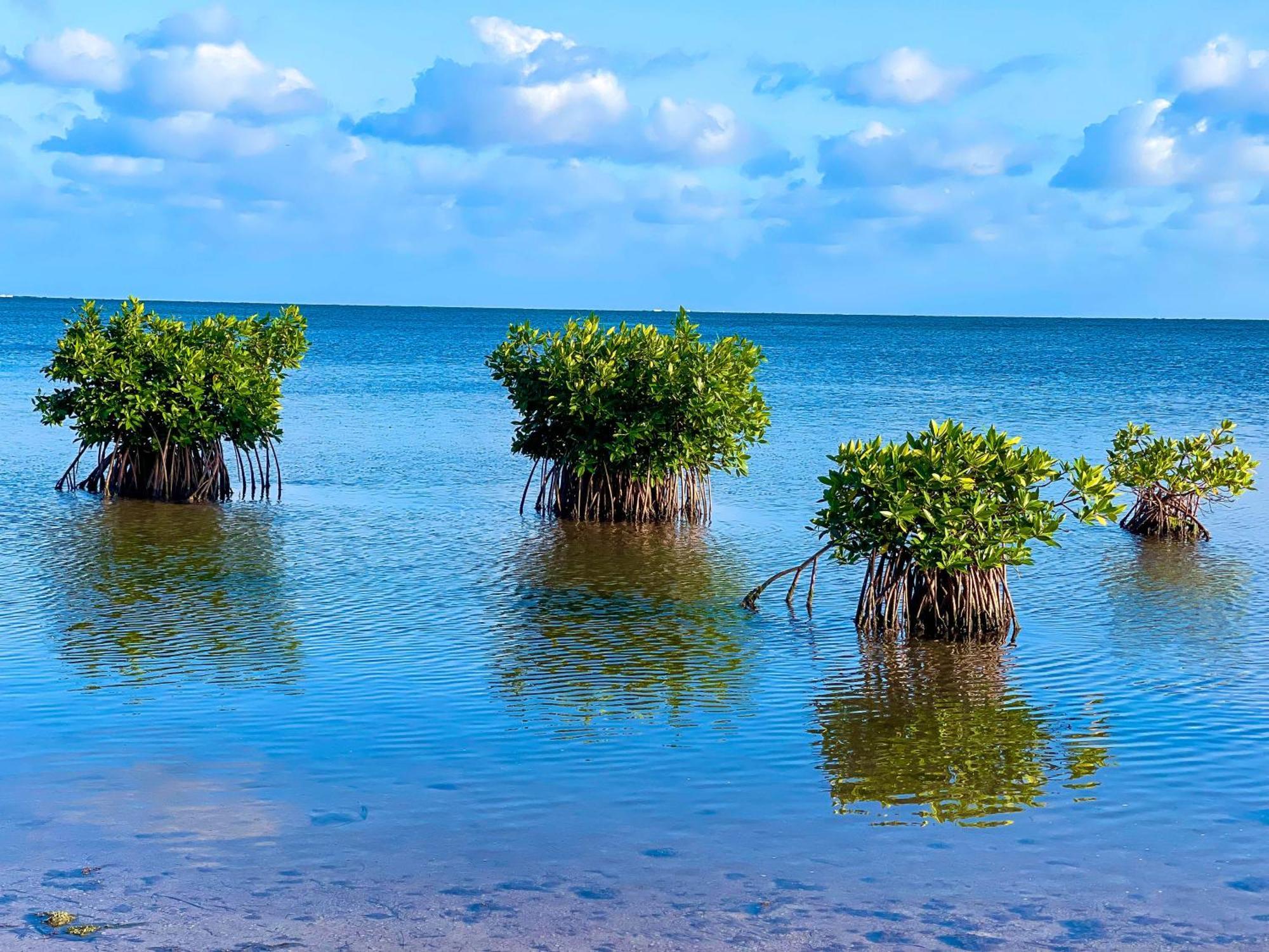Akuazul Resorts Adults Only Канкун Екстер'єр фото